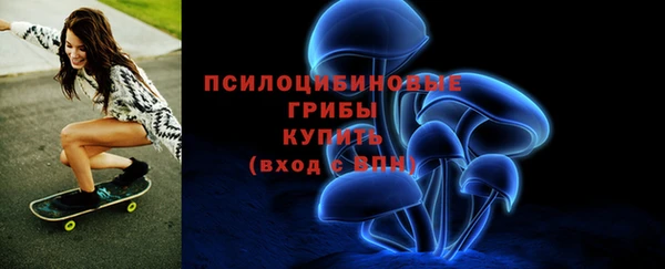 таблы Богородицк