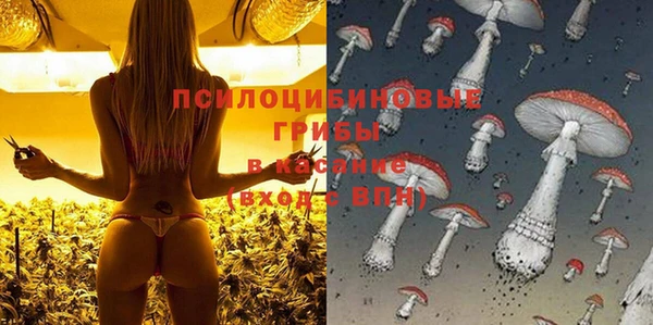 каннабис Богданович