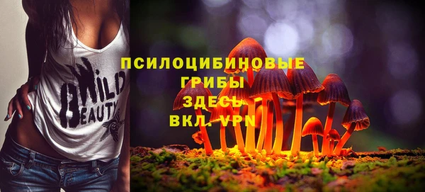мдпв Богородск