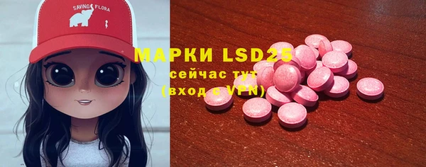 таблы Богородицк