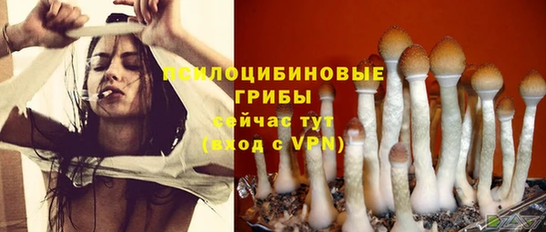каннабис Богданович